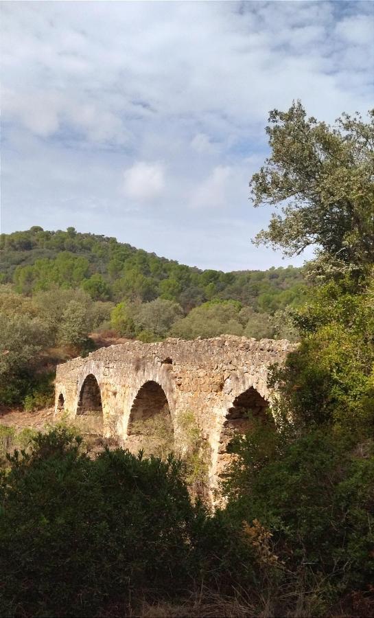 Bonita Casa Blanca En El Bosque. Villa Córdoba Eksteriør billede