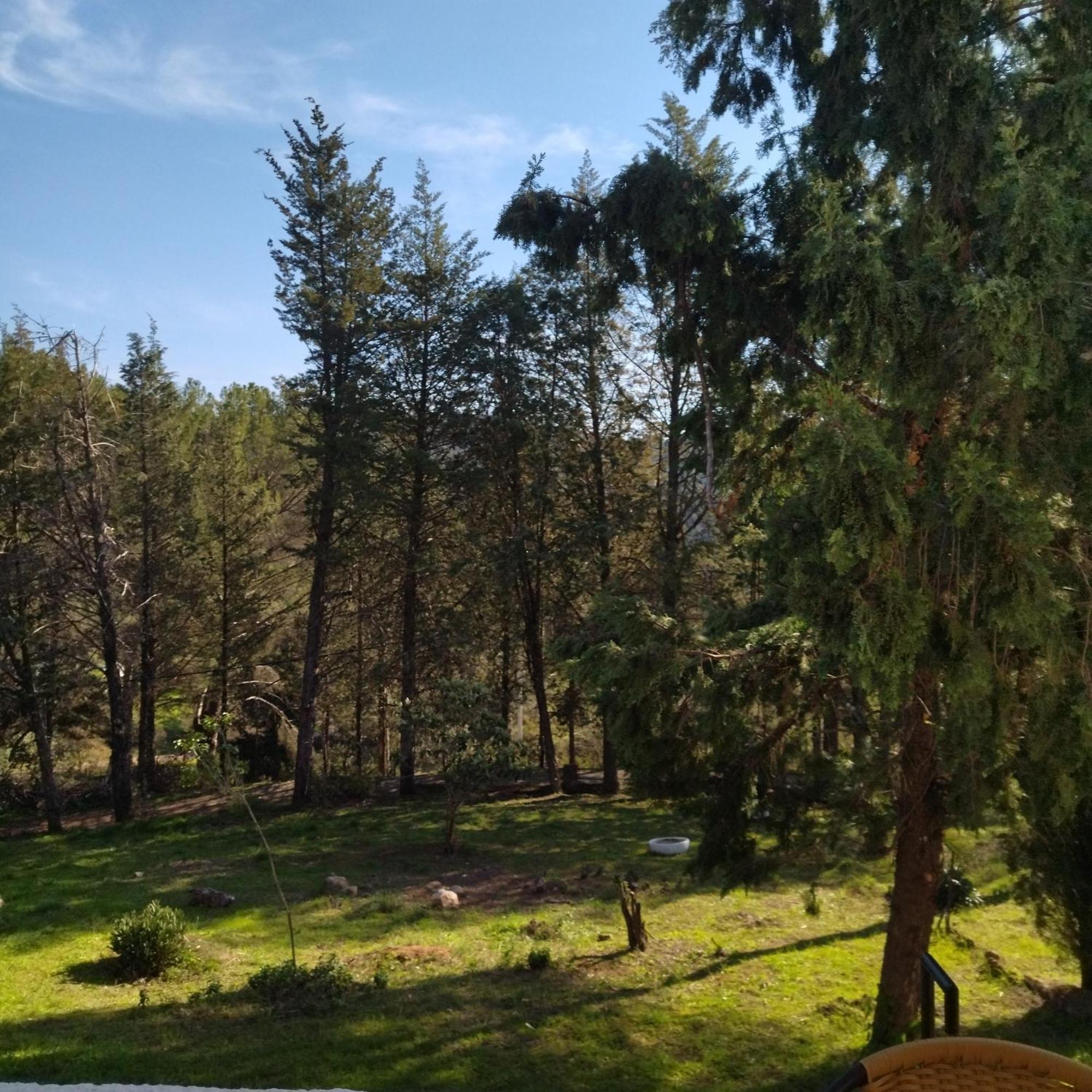 Bonita Casa Blanca En El Bosque. Villa Córdoba Eksteriør billede