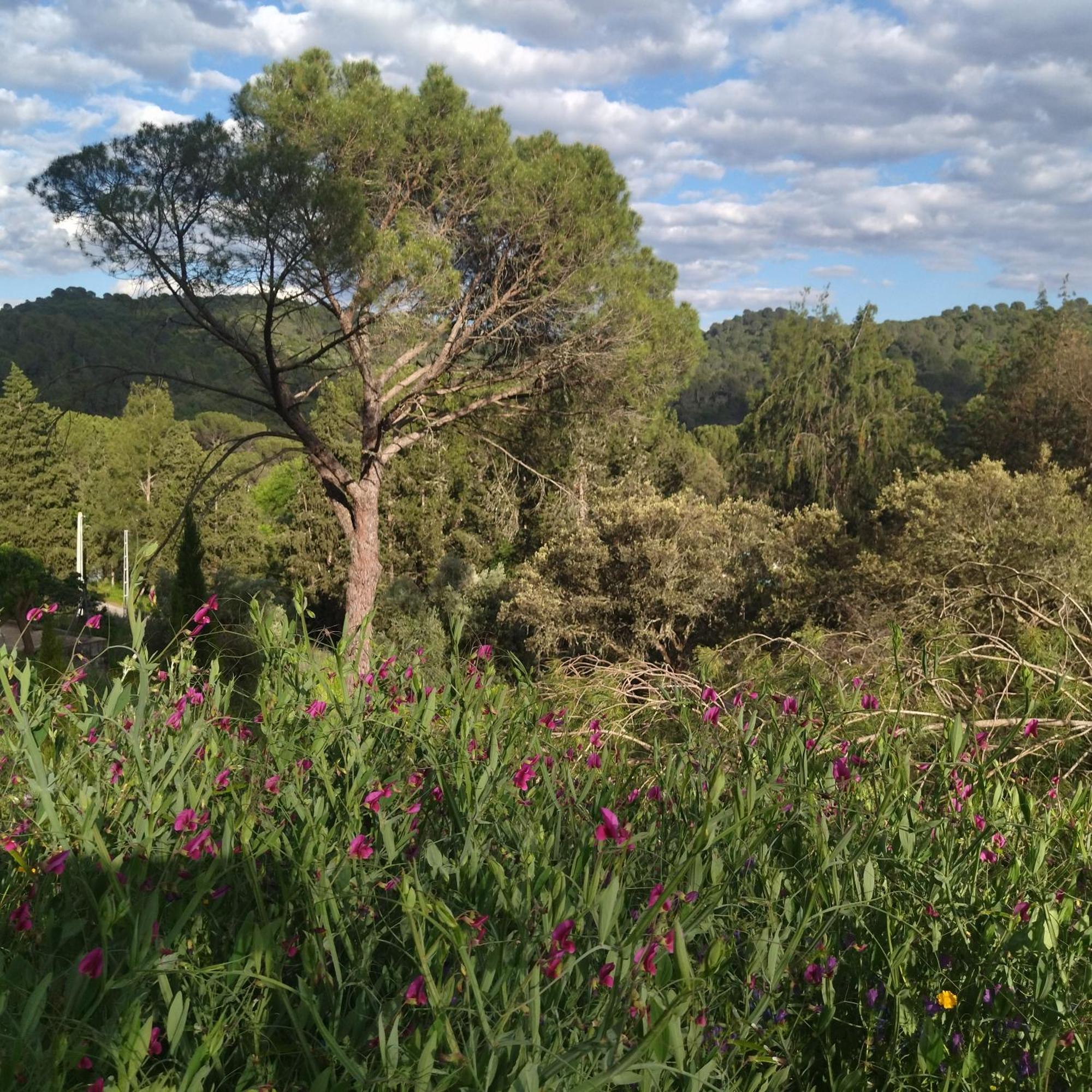 Bonita Casa Blanca En El Bosque. Villa Córdoba Eksteriør billede